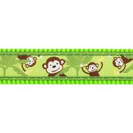 Obojek RD 15 mm x 24-36 cm - Monkey Lime Green