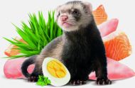 Brit Animals FERRET Complete 700g