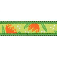 Postroj RD 25 mm x 56-80 cm - Tropical Green