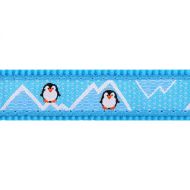 Obojok RD 25 mm x 41-63 cm - Penguin Turquoise