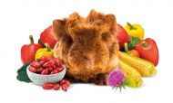 Brit Animals GUINEA PIG complete 1,5kg