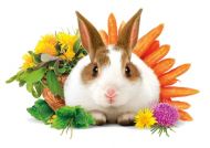 Brit Animals RABBIT ADULT complete 1,5kg