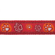 Postroj RD 20 mm x 45-66 cm - Paw Impressions RE