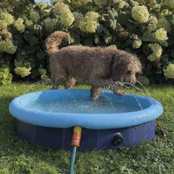 Nobby bazén s postřikovačem Splash Pool M 120x30cm